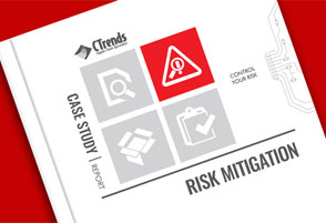 Risk Mitigation: Testing Services